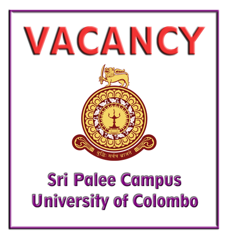 Vacancies for the Post of Temporary Assistant Lecturer
